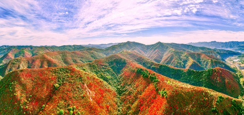 http://szgh.oss-cn-beijing.aliyuncs.com/mfjjw/20241011/665d0fa7ff8ed4741e007d04bbdaafc9e31a6b26.jpg
