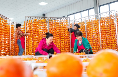 http://szgh.oss-cn-beijing.aliyuncs.com/mfjjw/20241030/06febab470bdc7a106332845b456b3e8addd536e.jpg