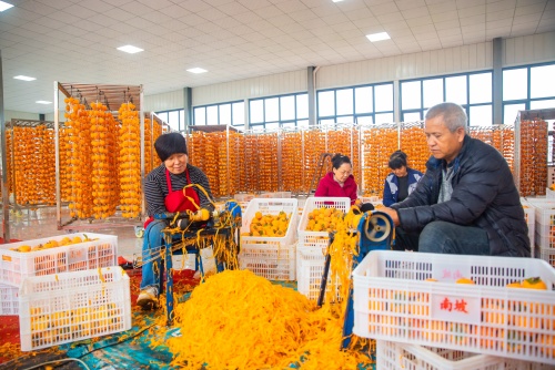 http://szgh.oss-cn-beijing.aliyuncs.com/mfjjw/20241030/6126a8a9af37c8f93887a4812f95006779a9a693.jpg
