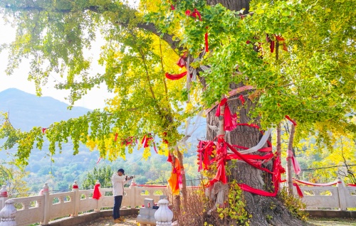 http://szgh.oss-cn-beijing.aliyuncs.com/mfjjw/20241103/081f058e690ef3981b2ecba4c9fa0509e17dd1d6.jpg