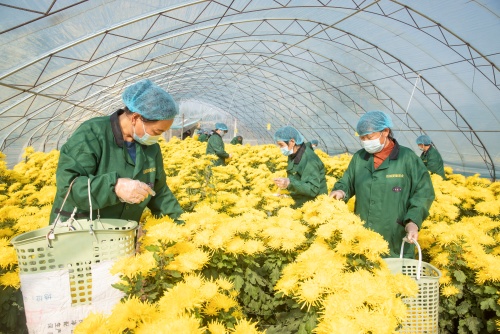 http://szgh.oss-cn-beijing.aliyuncs.com/mfjjw/20241110/0584a8265f88a060ddac53dd5f4ce466fd5f6dce.jpg