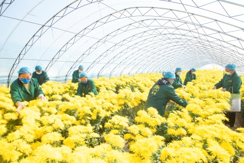 http://szgh.oss-cn-beijing.aliyuncs.com/mfjjw/20241110/309778e595f6f0c52cb03c437a00177e2f2acdbd.jpg