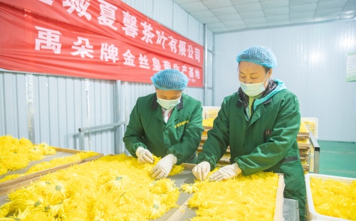 http://szgh.oss-cn-beijing.aliyuncs.com/mfjjw/20241110/c36dd64c746680d9541323eff227973ff6c21ea4.jpg