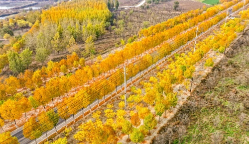 http://szgh.oss-cn-beijing.aliyuncs.com/mfjjw/20241111/0ce5b1f649b9ad08a9fb8f52388098c759aec1ba.jpg