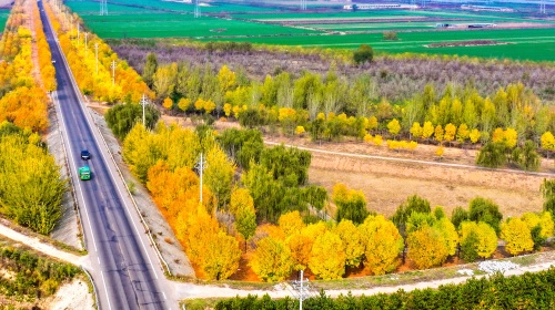 http://szgh.oss-cn-beijing.aliyuncs.com/mfjjw/20241111/7fff673f01b63bbac8ebd0f17a904cf4dcc56180.jpg