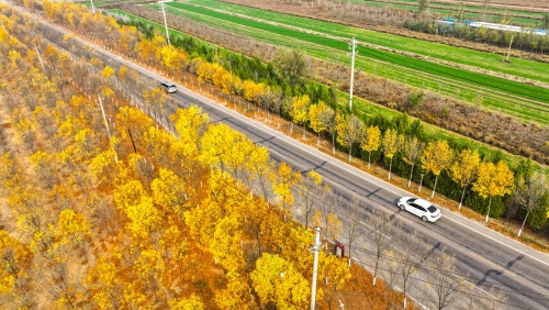 http://szgh.oss-cn-beijing.aliyuncs.com/mfjjw/20241111/d4c3f365b21d26a5395243f3c386eb74d4ecdb4f.jpg