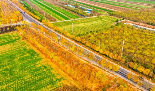 http://szgh.oss-cn-beijing.aliyuncs.com/mfjjw/20241111/f90c69c4e5e5ffb94f7d3461129ffdb01aacd5a9.jpg