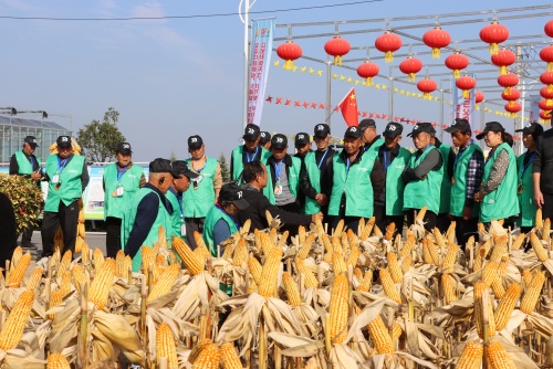 http://szgh.oss-cn-beijing.aliyuncs.com/mfjjw/20241117/221c7ad3e56510bca57dd4f02d1e94c2d9286840.jpg