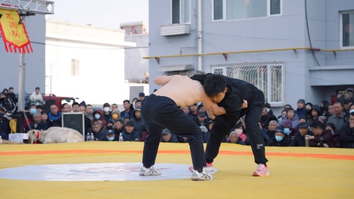 http://szgh.oss-cn-beijing.aliyuncs.com/mfjjw/20250220/300ee9b30d384ed8d2f445087a2da2e7975058b5.jpg
