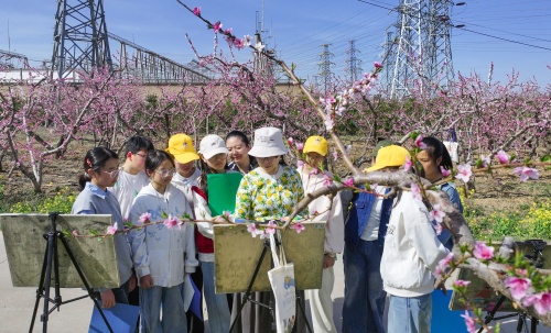 http://szgh.oss-cn-beijing.aliyuncs.com/mfjjw/20250408/672fd0fa99504d224ada45a5db5309c6feac5886.jpg