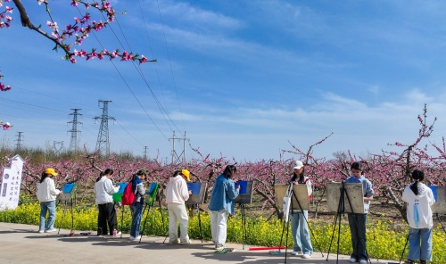 http://szgh.oss-cn-beijing.aliyuncs.com/mfjjw/20250408/918b58e911d3f7383a3add93b5953fb599998985.jpg