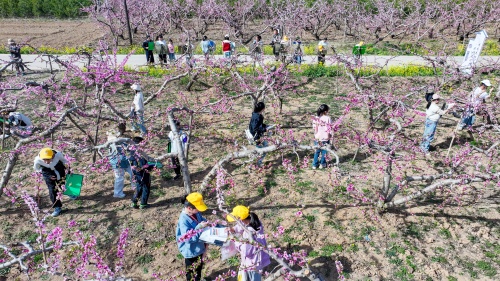 http://szgh.oss-cn-beijing.aliyuncs.com/mfjjw/20250408/9462f85e1d25e0824556169c0452b4fb1756d050.jpg