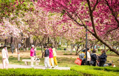 http://szgh.oss-cn-beijing.aliyuncs.com/mfjjw/20250411/5b73add30989d0d307fd119f30f0e5de9be17eb4.jpg