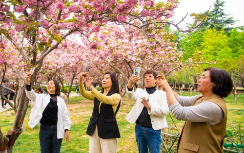 http://szgh.oss-cn-beijing.aliyuncs.com/mfjjw/20250411/f70a272f97ddbd3cd0608d0e599df84defa88314.jpg