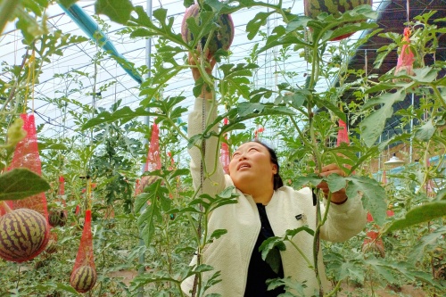 http://szgh.oss-cn-beijing.aliyuncs.com/mfjjw/20250422/0206308605494b06274f04f339581a0beca8e990.jpg