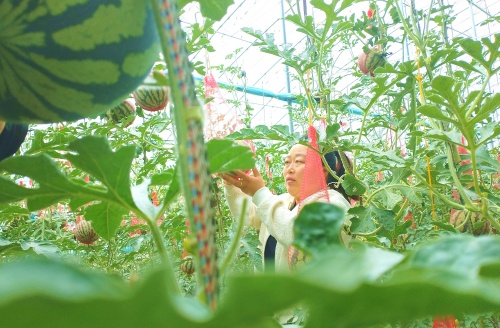 http://szgh.oss-cn-beijing.aliyuncs.com/mfjjw/20250422/82a43cbd6bcc24a0a2d68b182e7e12b5b5d09d21.jpg