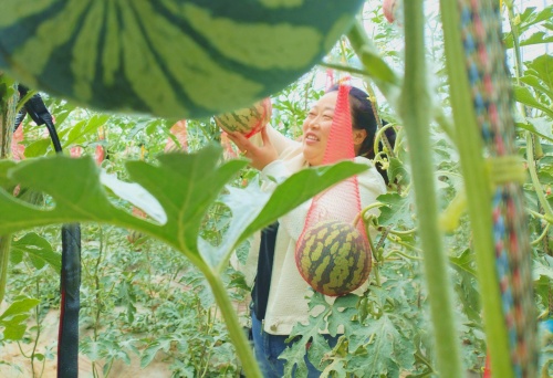 http://szgh.oss-cn-beijing.aliyuncs.com/mfjjw/20250422/93e1b6cb0216ed25c3dc7bb8b6d8b1a53915c8a1.jpg