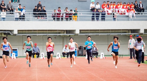 http://szgh.oss-cn-beijing.aliyuncs.com/mfjjw/20250509/122d9307e1816a5b8197d0d59d45929dda9d9620.jpg