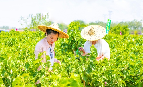 http://szgh.oss-cn-beijing.aliyuncs.com/mfjjw/20250520/4ce390872cdffa3e1dd9a423ecc7ad6bcc8b9893.jpg