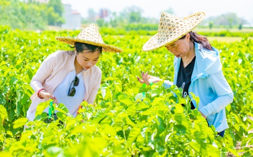 http://szgh.oss-cn-beijing.aliyuncs.com/mfjjw/20250520/f171819e41587f77cdb5321326d89c2dd730c410.jpg