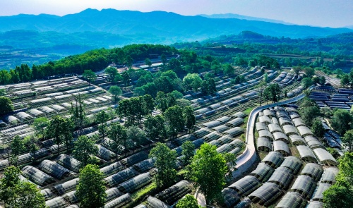 http://szgh.oss-cn-beijing.aliyuncs.com/mfjjw/20250523/2093f24121705a3c3c9a5eb265ab670efaf30c45.jpg