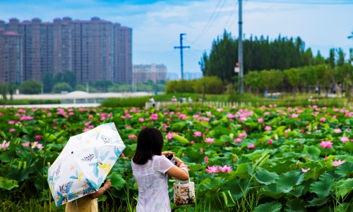 http://szgh.oss-cn-beijing.aliyuncs.com/mfjjw/20250620/4d56281101a2f3ddd1c9d3a504ebd57026bbce95.jpg